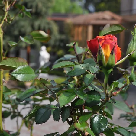 Hotel Agri Art Croce Vallone 3*